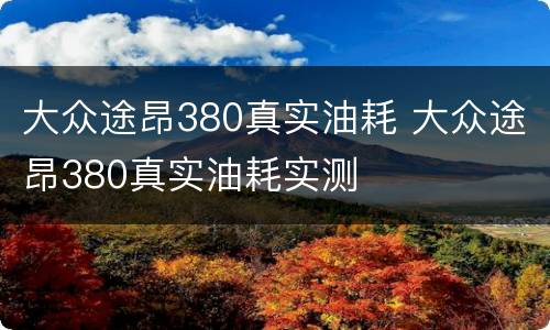 大众途昂380真实油耗 大众途昂380真实油耗实测