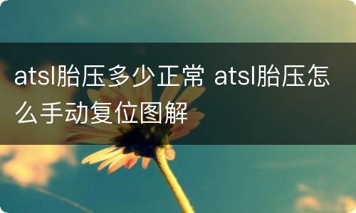 atsl胎压多少正常 atsl胎压怎么手动复位图解