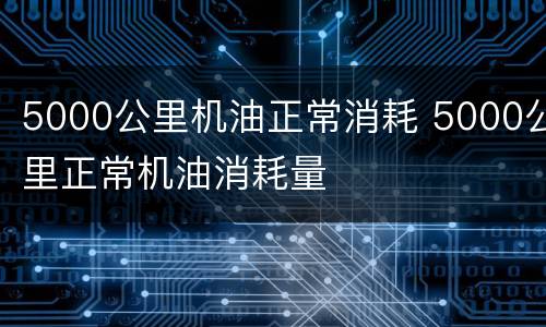 5000公里机油正常消耗 5000公里正常机油消耗量