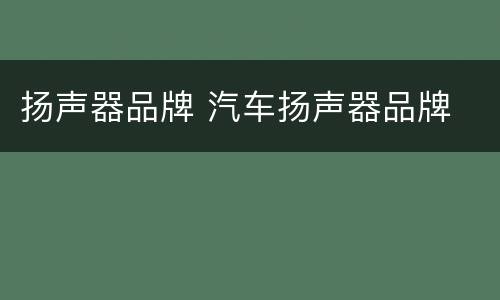 扬声器品牌 汽车扬声器品牌