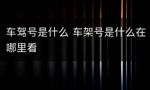 车驾号是什么 车架号是什么在哪里看