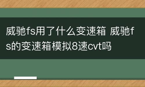 威驰fs用了什么变速箱 威驰fs的变速箱模拟8速cvt吗