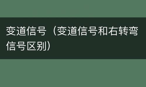 变道信号（变道信号和右转弯信号区别）