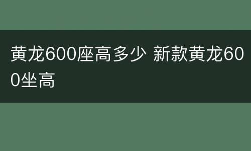 黄龙600座高多少 新款黄龙600坐高