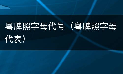 粤牌照字母代号（粤牌照字母代表）