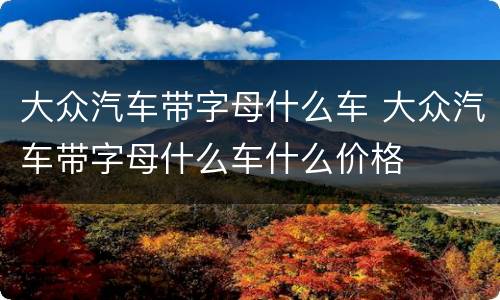 大众汽车带字母什么车 大众汽车带字母什么车什么价格