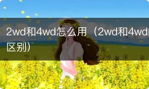 2wd和4wd怎么用（2wd和4wd的区别）