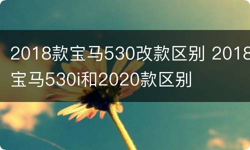 2018款宝马530改款区别 2018宝马530i和2020款区别