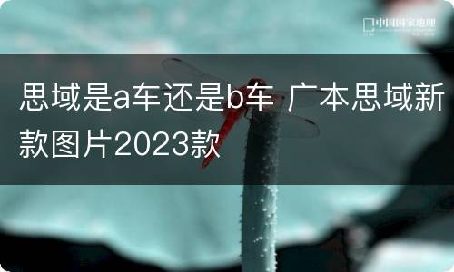 思域是a车还是b车 广本思域新款图片2023款