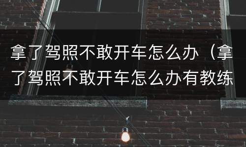 拿了驾照不敢开车怎么办（拿了驾照不敢开车怎么办有教练可以陪练吗）