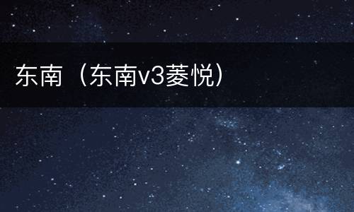 东南（东南v3菱悦）