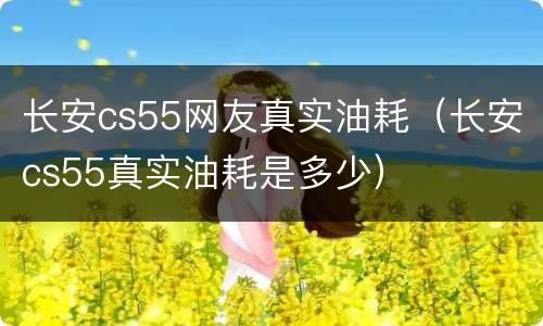 长安cs55网友真实油耗（长安cs55真实油耗是多少）