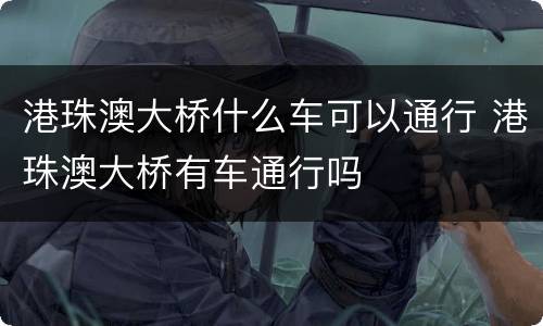 港珠澳大桥什么车可以通行 港珠澳大桥有车通行吗