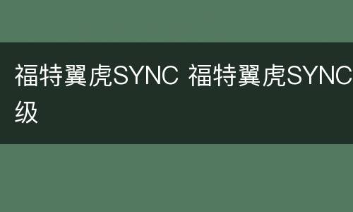 福特翼虎SYNC 福特翼虎SYNC升级