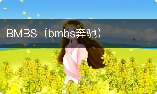 BMBS（bmbs奔驰）