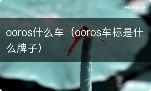 ooros什么车（ooros车标是什么牌子）