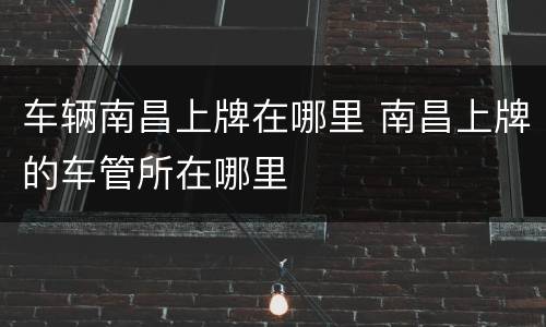 车辆南昌上牌在哪里 南昌上牌的车管所在哪里