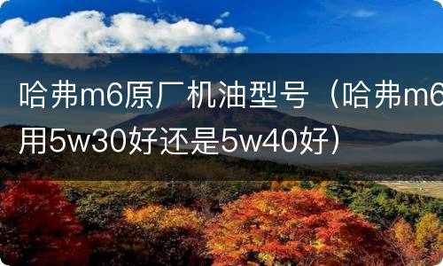 哈弗m6原厂机油型号（哈弗m6用5w30好还是5w40好）