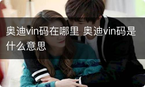 奥迪vin码在哪里 奥迪vin码是什么意思