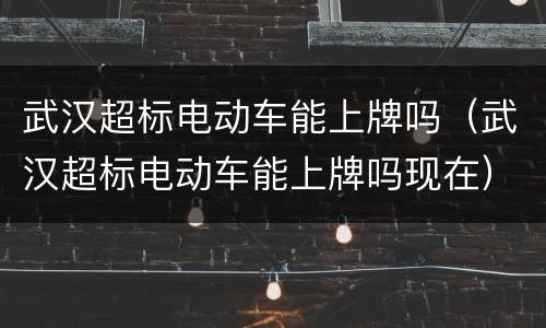 武汉超标电动车能上牌吗（武汉超标电动车能上牌吗现在）