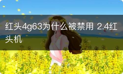 红头4g63为什么被禁用 2.4红头机