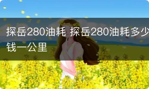 探岳280油耗 探岳280油耗多少钱一公里