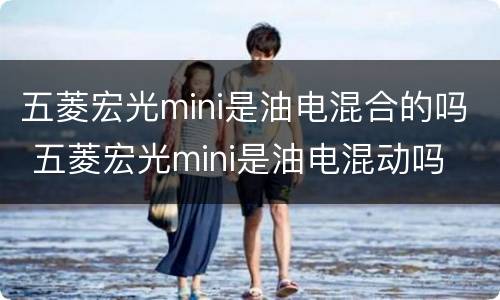 五菱宏光mini是油电混合的吗 五菱宏光mini是油电混动吗