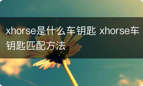 xhorse是什么车钥匙 xhorse车钥匙匹配方法