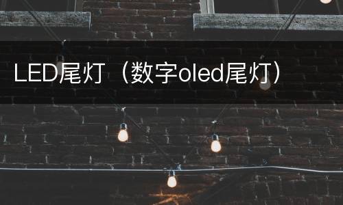 LED尾灯（数字oled尾灯）