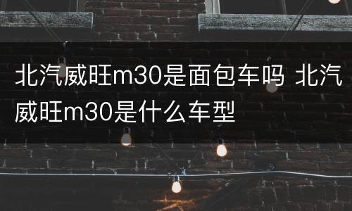 北汽威旺m30是面包车吗 北汽威旺m30是什么车型