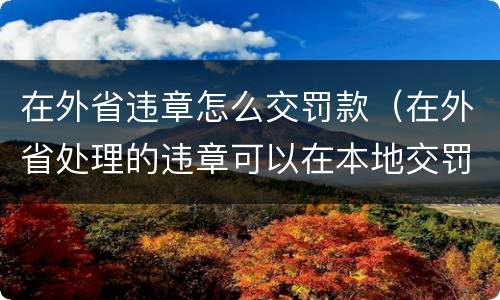 在外省违章怎么交罚款（在外省处理的违章可以在本地交罚款吗）