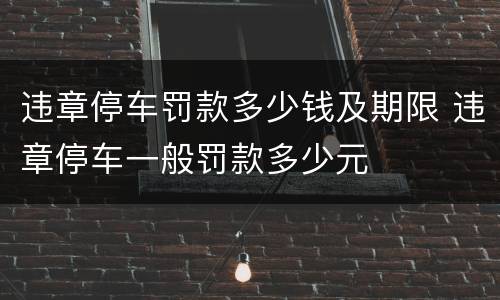 违章停车罚款多少钱及期限 违章停车一般罚款多少元