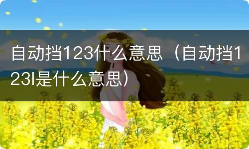 自动挡123什么意思（自动挡123l是什么意思）