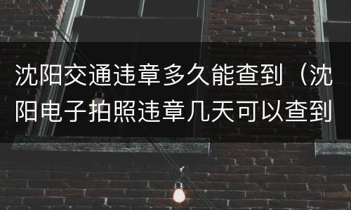 沈阳交通违章多久能查到（沈阳电子拍照违章几天可以查到）