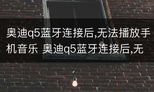 奥迪q5蓝牙连接后,无法播放手机音乐 奥迪q5蓝牙连接后,无法播放手机音乐但是可以切换音乐