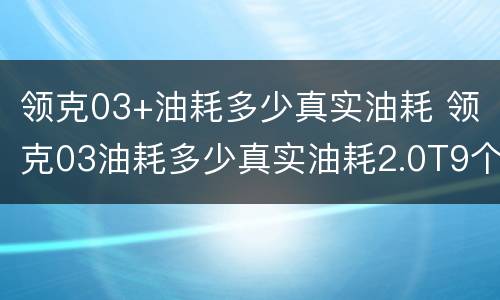 领克03+油耗多少真实油耗 领克03油耗多少真实油耗2.0T9个油是多少钱