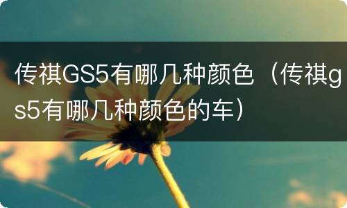 传祺GS5有哪几种颜色（传祺gs5有哪几种颜色的车）