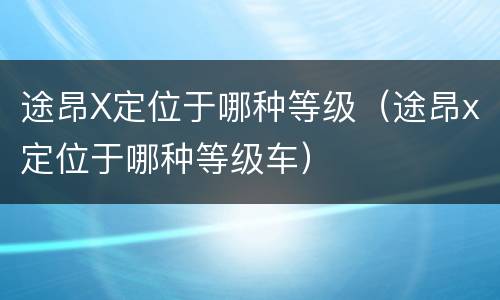 途昂X定位于哪种等级（途昂x定位于哪种等级车）