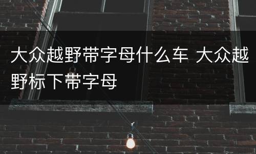 大众越野带字母什么车 大众越野标下带字母