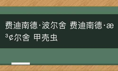 费迪南德·波尔舍 费迪南德·波尔舍 甲壳虫