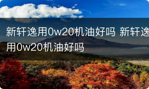 新轩逸用0w20机油好吗 新轩逸用0w20机油好吗