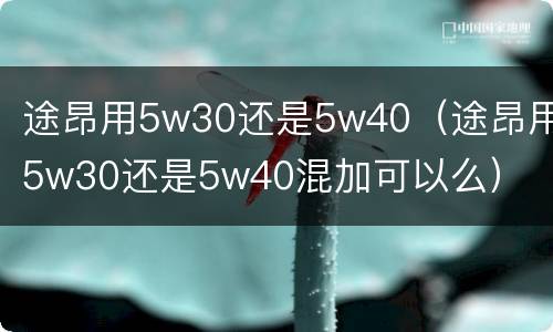 途昂用5w30还是5w40（途昂用5w30还是5w40混加可以么）