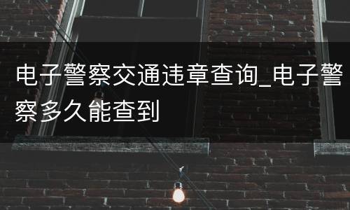 电子警察交通违章查询_电子警察多久能查到