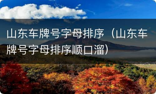 山东车牌号字母排序（山东车牌号字母排序顺口溜）