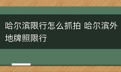 哈尔滨限行怎么抓拍 哈尔滨外地牌照限行