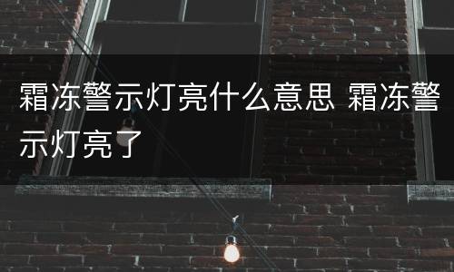 霜冻警示灯亮什么意思 霜冻警示灯亮了