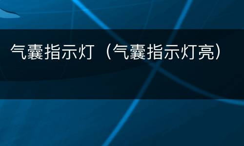 气囊指示灯（气囊指示灯亮）