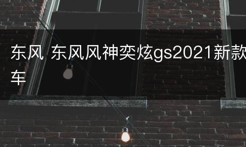 东风 东风风神奕炫gs2021新款车