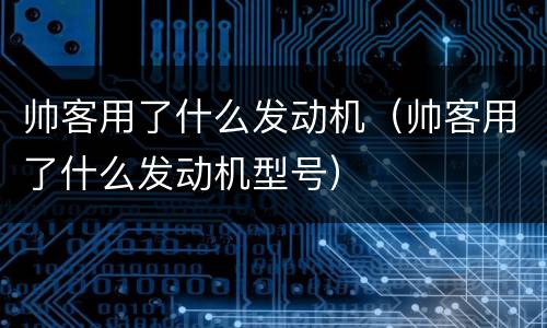 帅客用了什么发动机（帅客用了什么发动机型号）