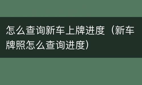 怎么查询新车上牌进度（新车牌照怎么查询进度）